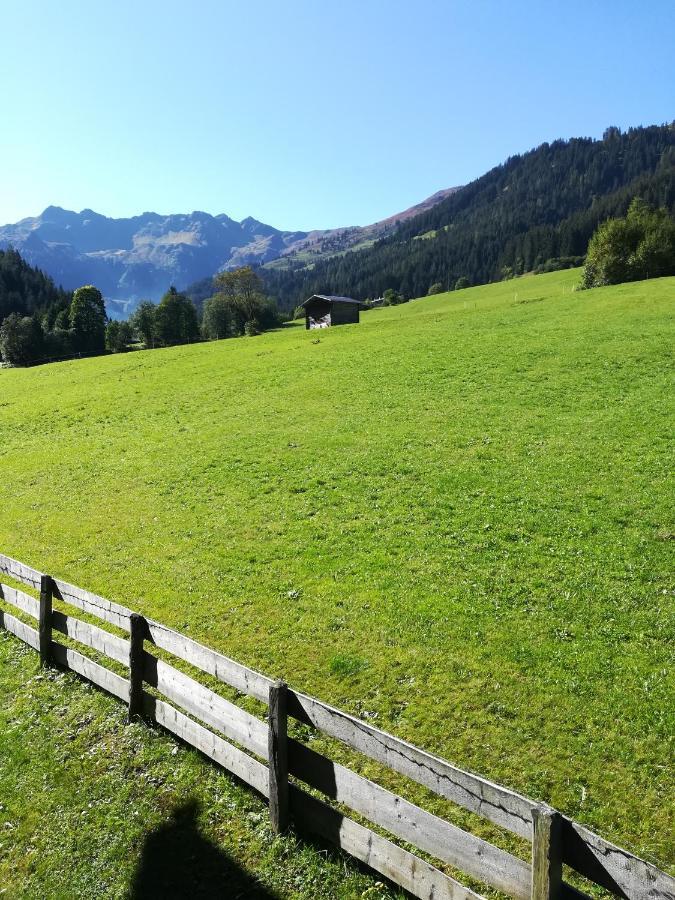 Hacklstoana Apartment Alpbach Luaran gambar