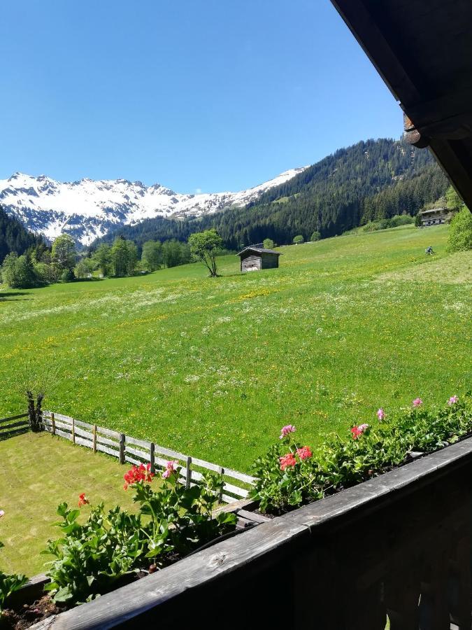 Hacklstoana Apartment Alpbach Luaran gambar