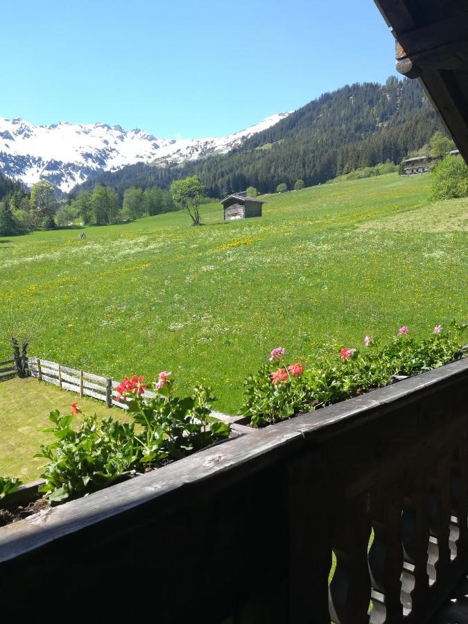 Hacklstoana Apartment Alpbach Luaran gambar