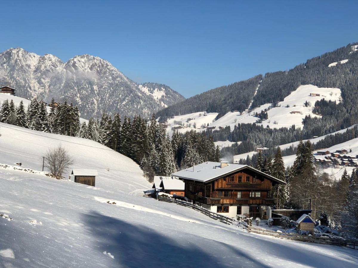 Hacklstoana Apartment Alpbach Luaran gambar