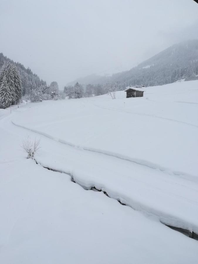 Hacklstoana Apartment Alpbach Luaran gambar